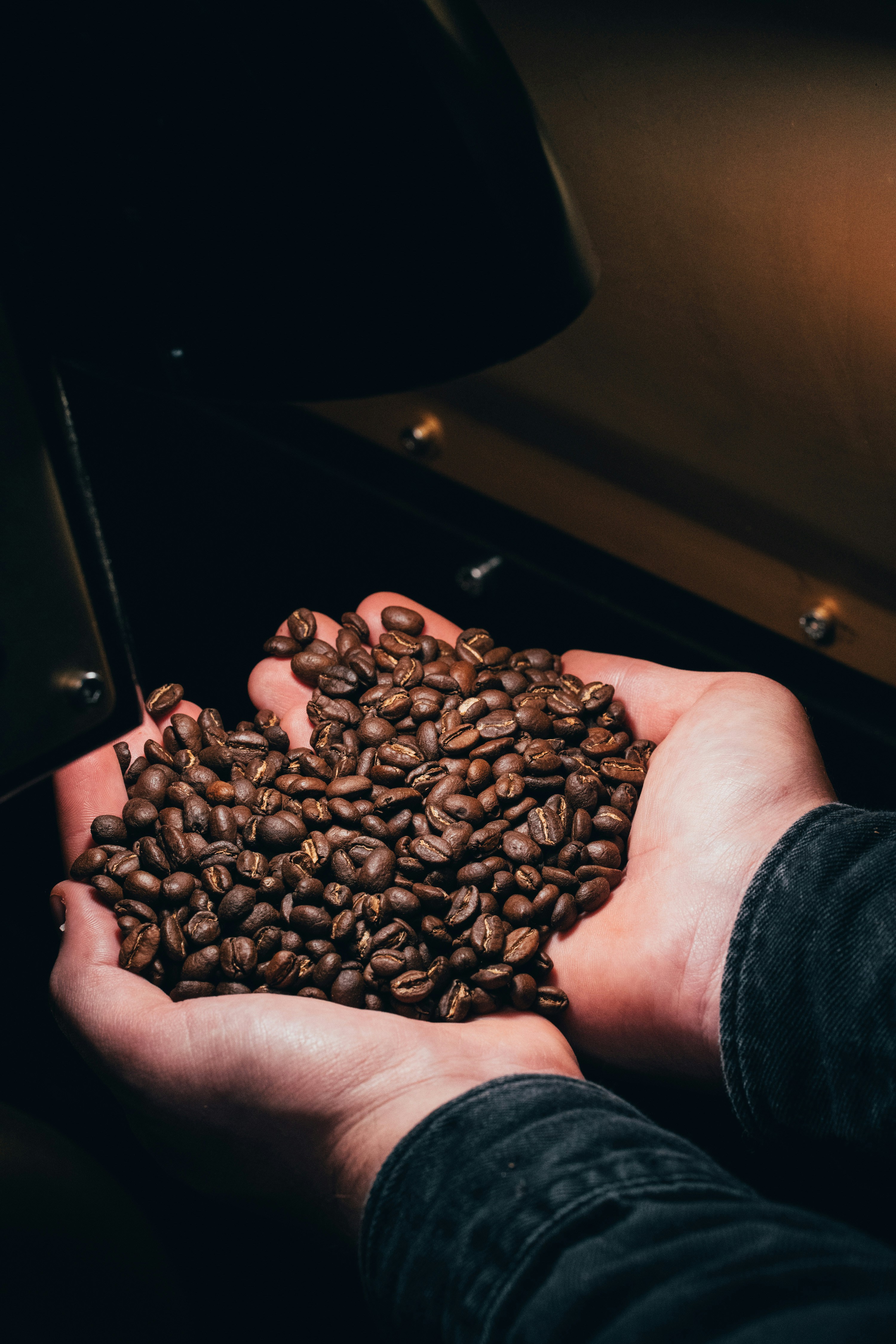 The Brew Republic Logo